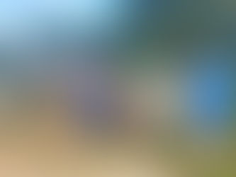 Les jardins du Colibri : « un outil social et écologique ! »