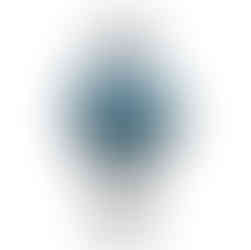 Nomadic Fior 555 GMT