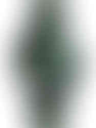 FARER Durham Pullman - Image Courtesy of FARER