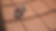 GP_12.tif