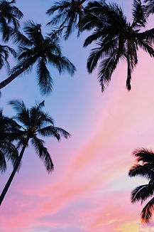 calivibes.jpeg