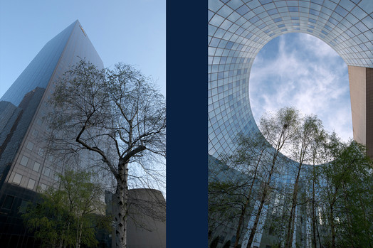 ARCHITECTURE Nº 6a & 6b