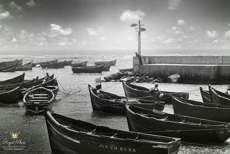 marsa.jpg