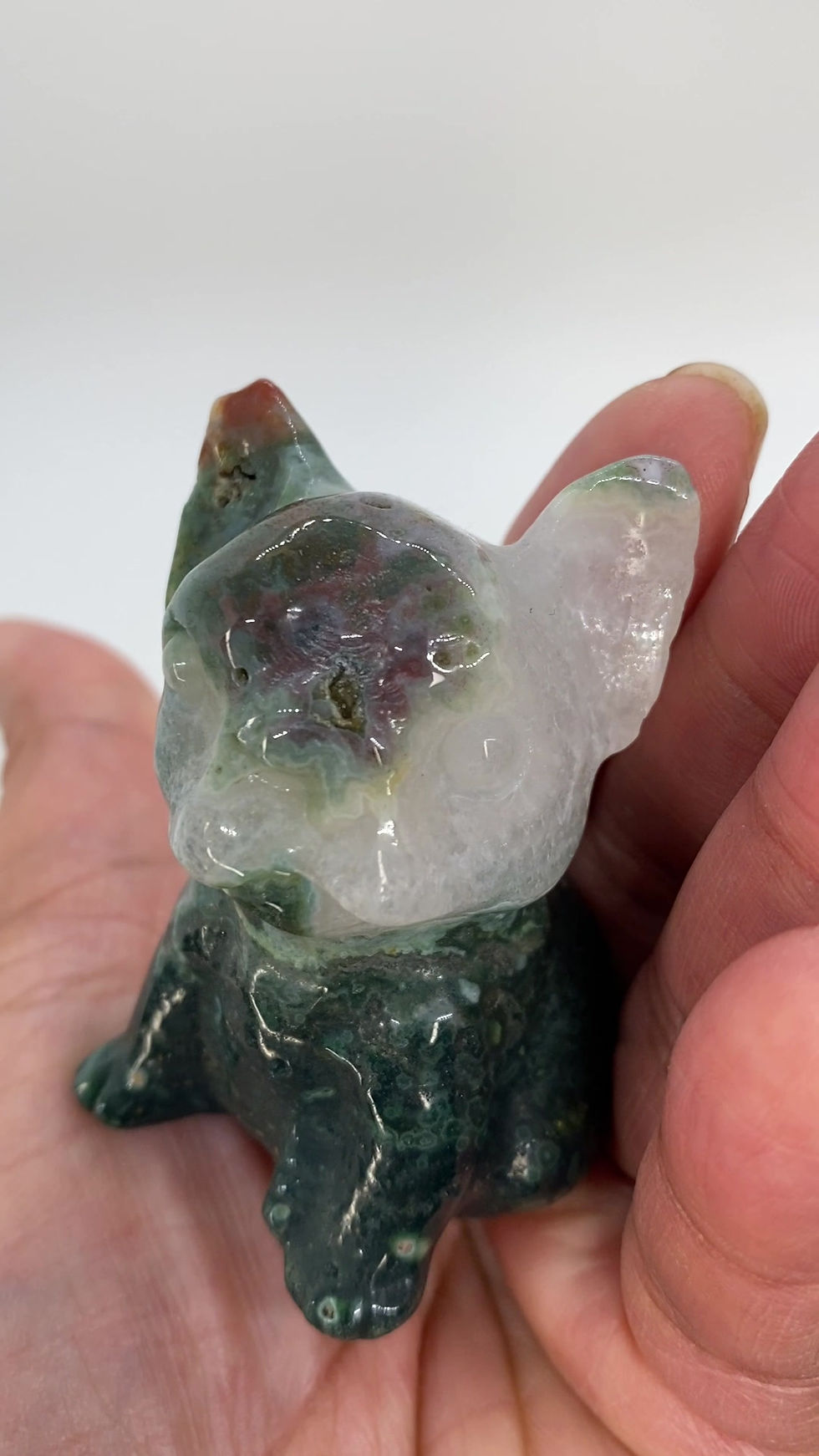 Thumbnail: Crystal French Bulldogs