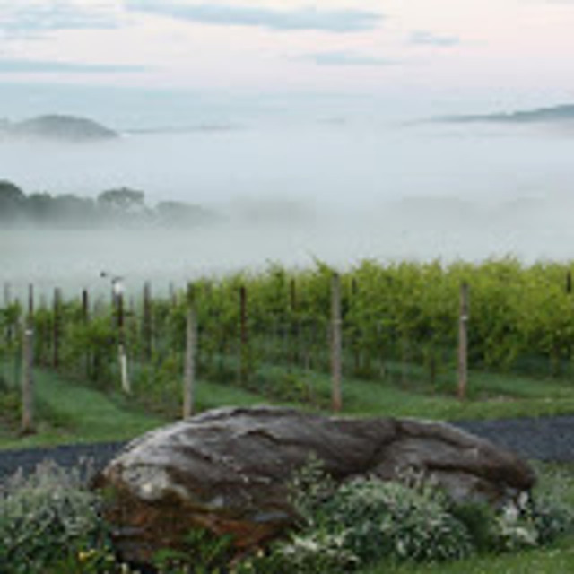 Phillipsburg Rotary Picnic & Wine Tasting