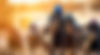shutterstock_2337962037_edited.jpg
