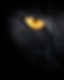 cat eye