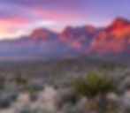 Southern Nevada Health District | VIRGEN's Experience