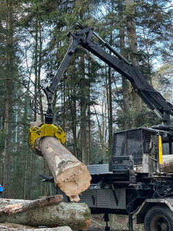 WhatsApp Image 2026-01-06 at 08.19.42hhh