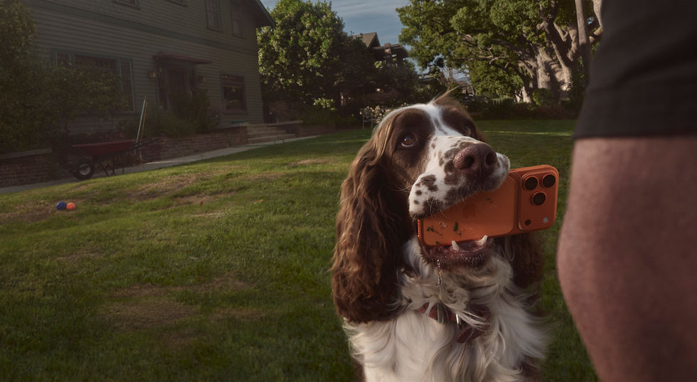 OOH_Dog_Smaller.jpeg