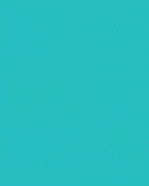 Nissen_pikseli_1.gif