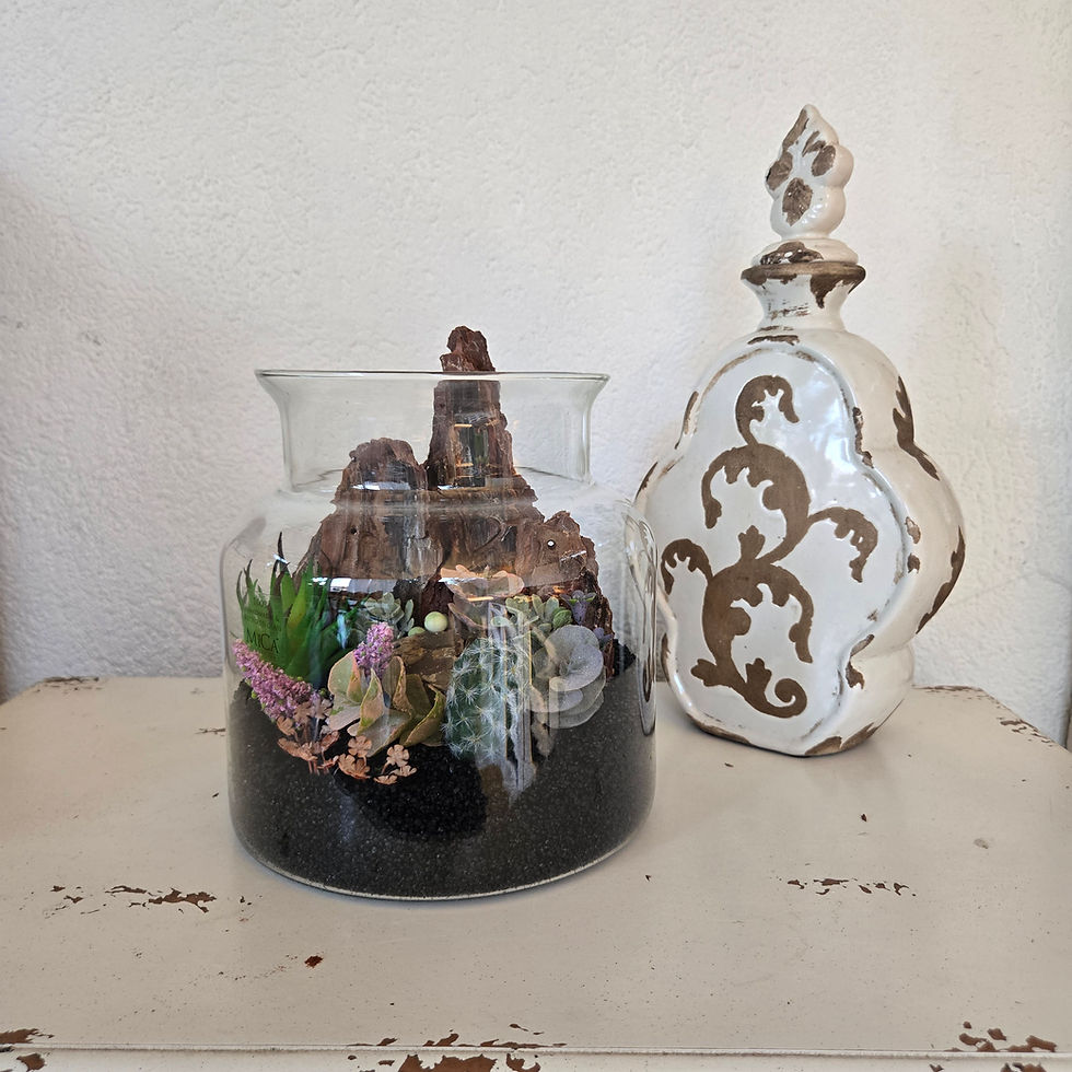 Küçük resim: El Yapımı Cam Fanus Terraryum – Kaktüs & Sukulent Doğa Dekoru