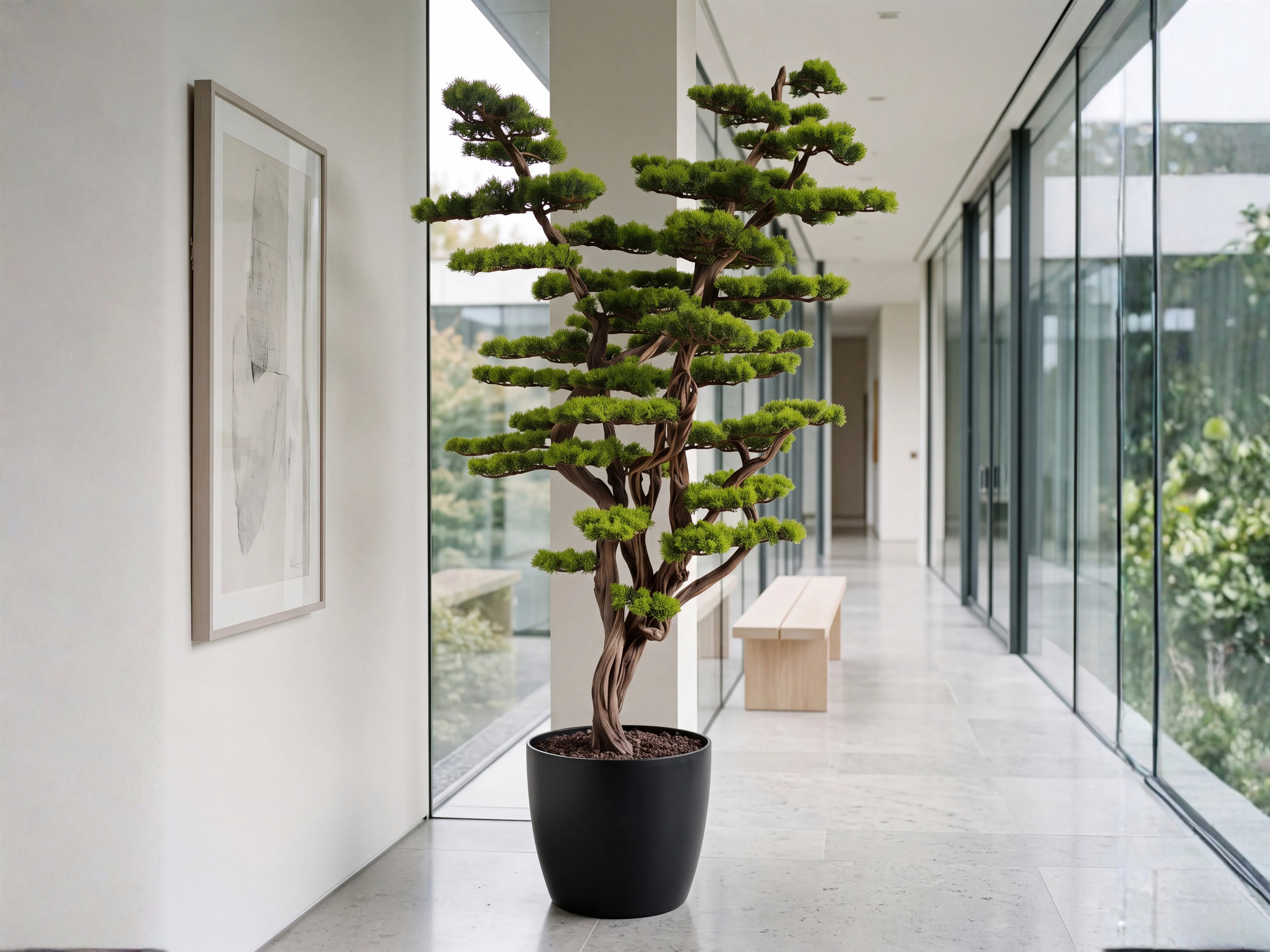 FOREST GRANDE Signature Bonsai
