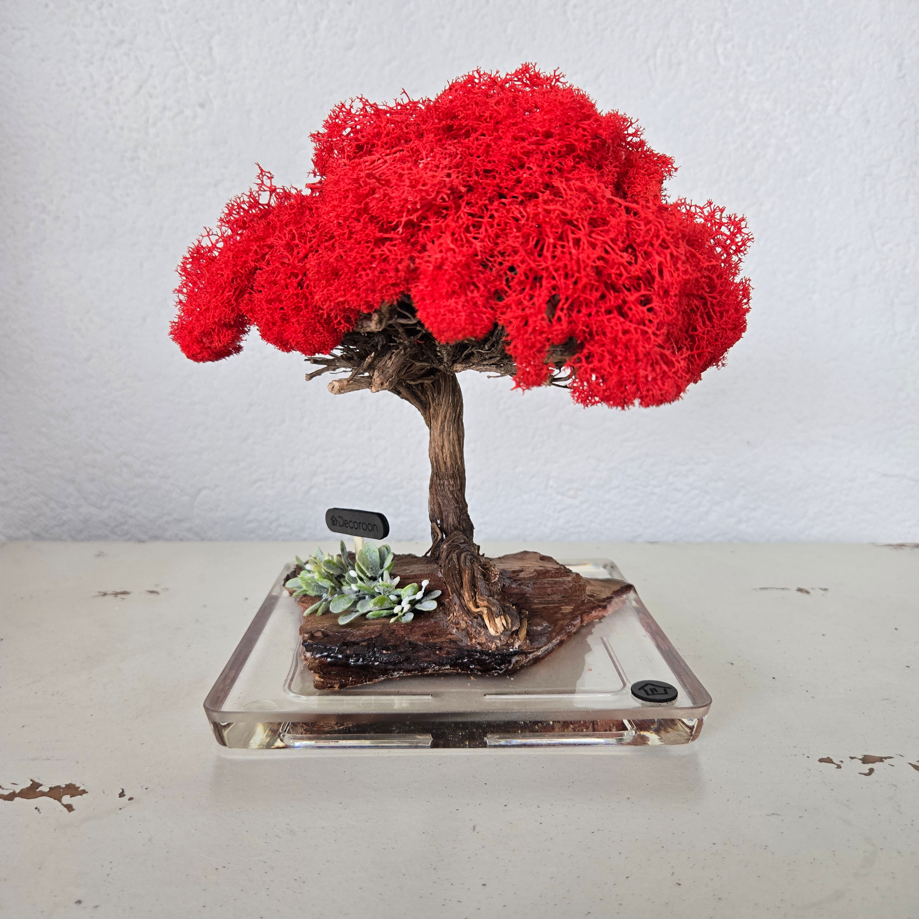 Kırmızı Şoklanmış Yosunlu Gerçek Ağaç Gövdeli El Yapımı Bonsai Dekor