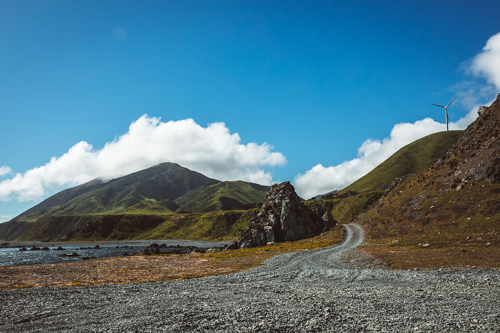 WNZ_Wanderlust Tours_07112024_Credit_WellingtonNZ_Phoebe Mackenzie_-117.jpg