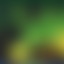 LUCI - Europe Summer 2021 Wildfire Susceptibility Map