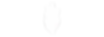 logo pag web olivo (1).png