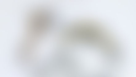 LUXURY 奢華婚戒系列