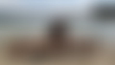 Playlist des vidéos du Dominator Festival