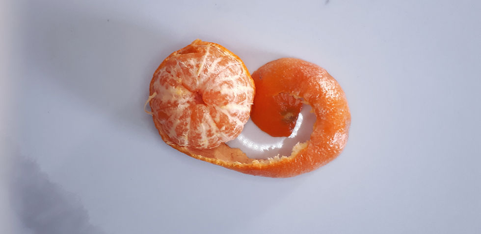 The Benefits of Working with an Editor Instead of an App