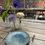 Thumbnail: Dessertmes goud
