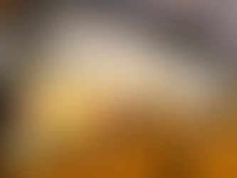 香港老年學會- 長者友善屋苑量表 (18項元素及50個專項)