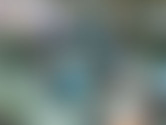 日間中心或學校 - 活動理論觀點