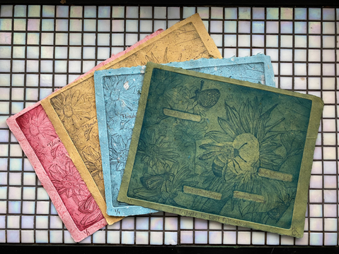 'A Tribute to Lost Pollinators', Intaglio Prints, 2021