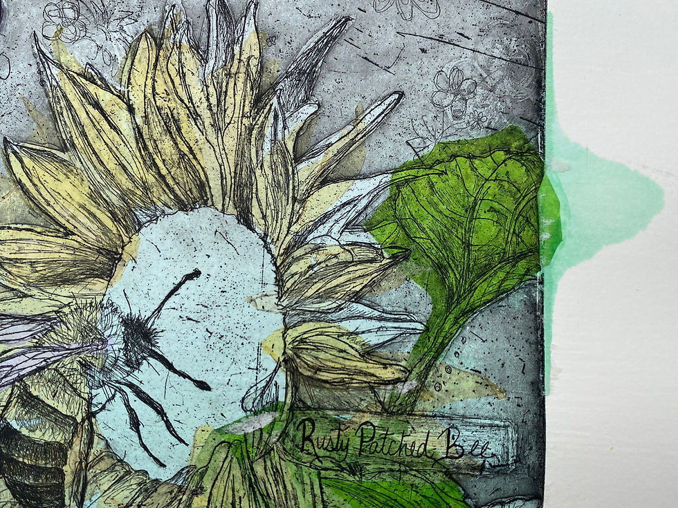 Thumbnail: A Tribute to Lost Pollinators (Sea of Flowers)