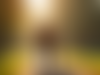 Intentional Dating: A Guide for Serious Catholics