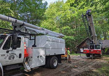 Stump Grinding services in grand rapids