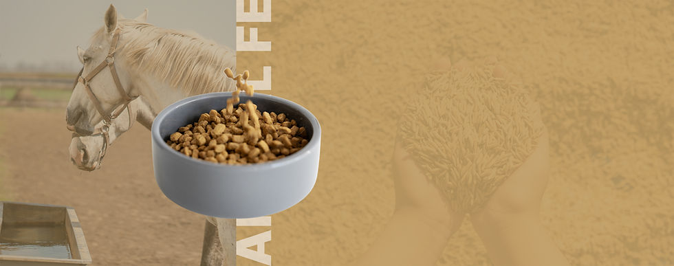 Header CH - Animal Feeds.jpg