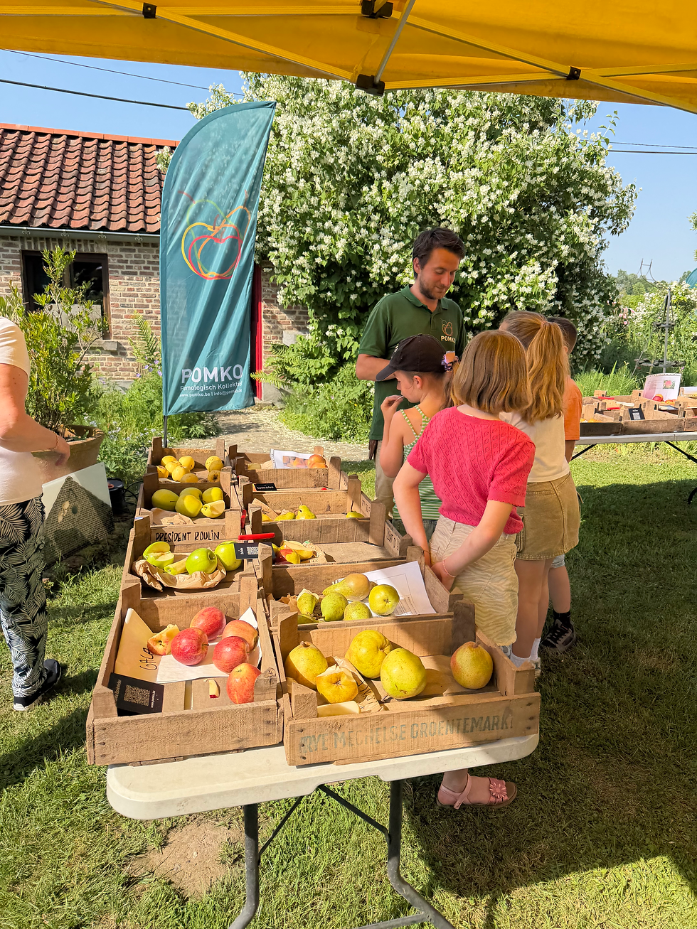 BE - Learning about Apples