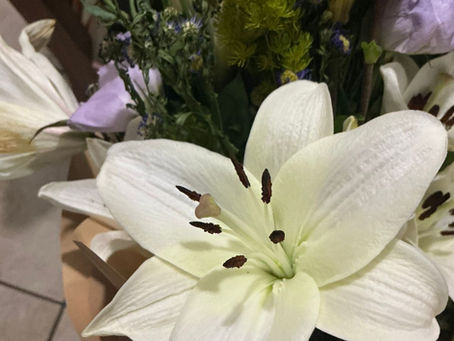 un gran Giro en la trama