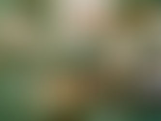 الفطور التركي في إسطنبول