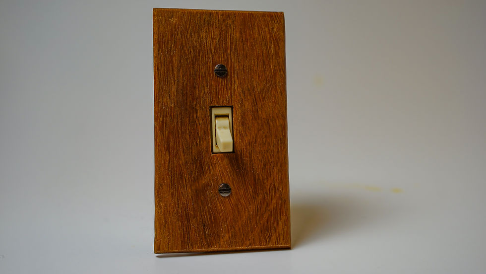 Thumbnail: Light Switch Plate