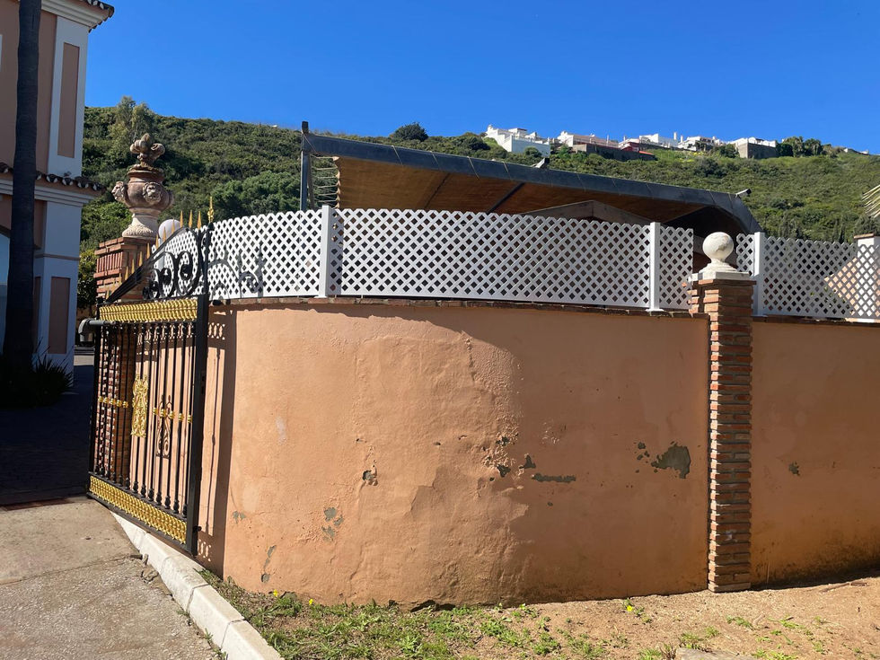 CelosíaDiseñoMuro(Fuera)