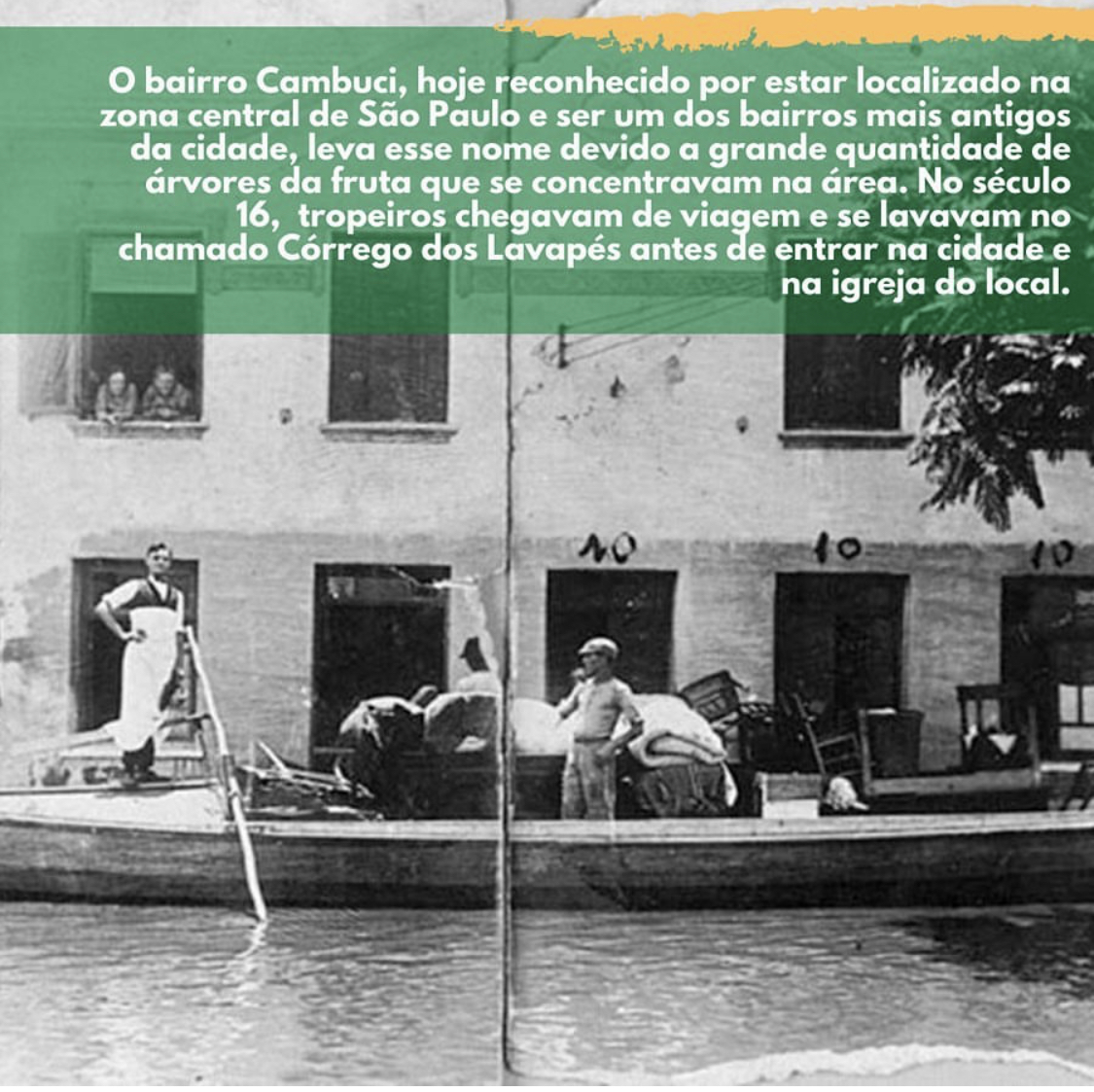 Cambuci Fruta Onde Comprar Em Sp Cambuci O Bairro Ou A Fruta