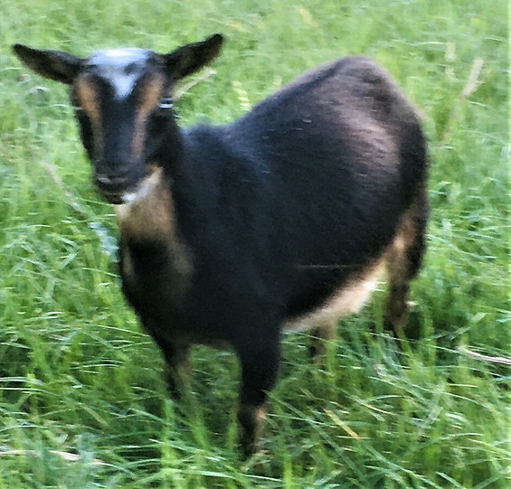 Fiona21.JPG