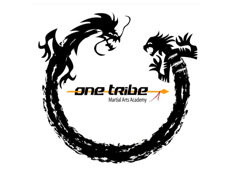 One Tribe Martial Arts Academy | Concord, CA | Kung Fu & Self-Defense
