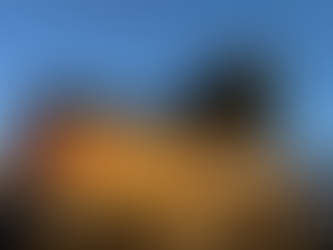 The ScrapDogs Newsletter: December 2025 ❄️