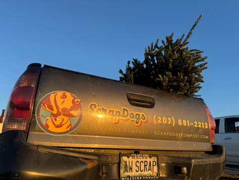 The ScrapDogs Newsletter: December 2025 ❄️