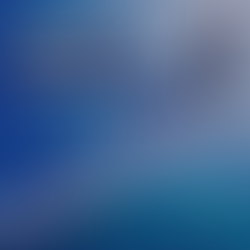 Flexibilität ist deine Führungsstärke