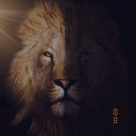 Mut zur Echtheit als LeaderÂ