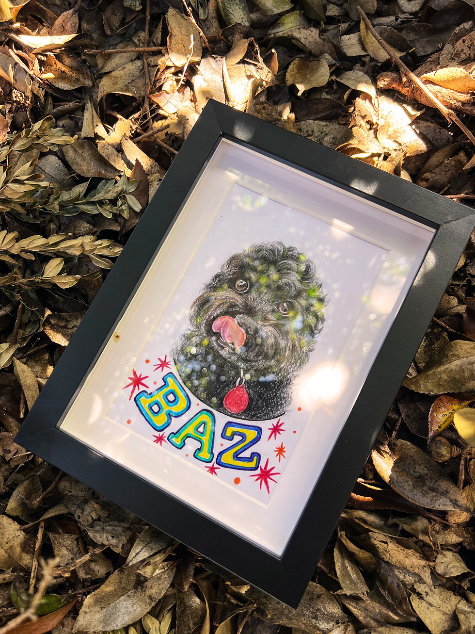Thumbnail: Pet Portrait in Classic Frame