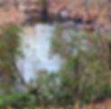 Rockfish Creek 01_edited_edited.jpg
