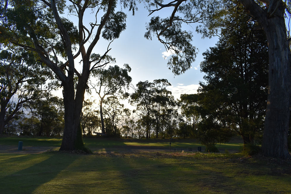 DSC_0074.JPG