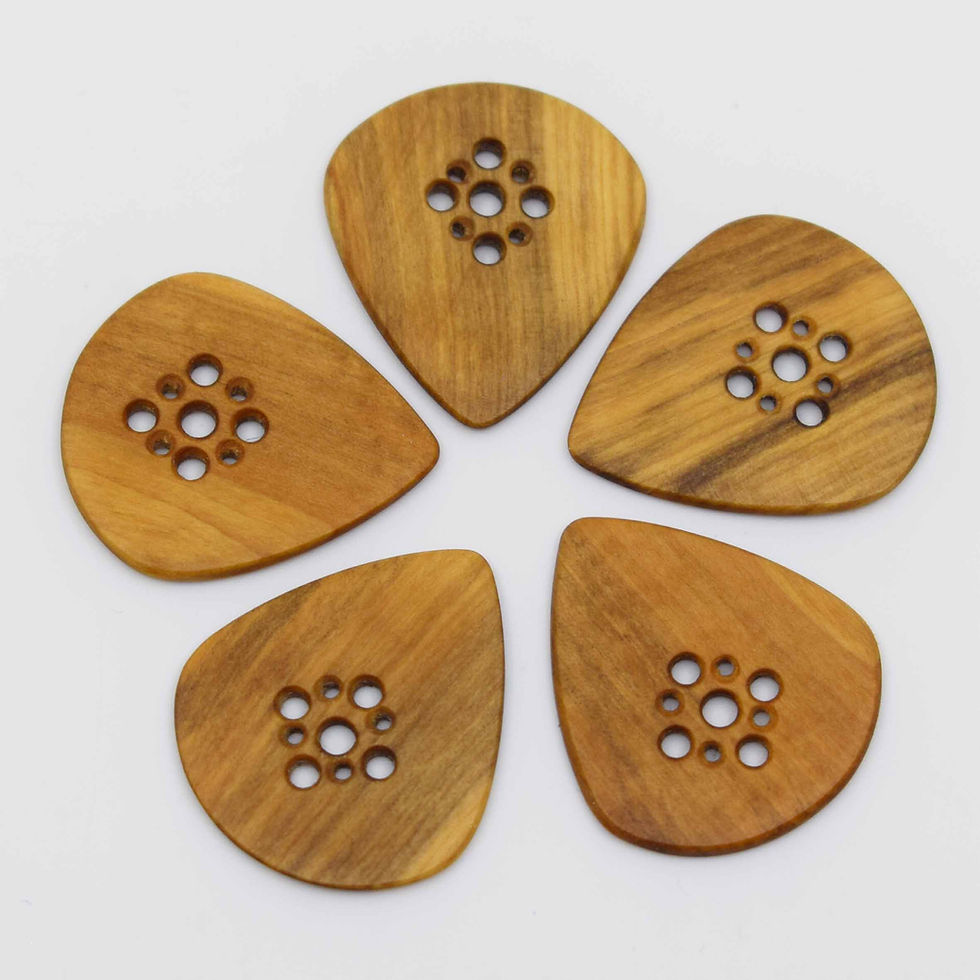 Miniature : Lot de 5 médiators JAZZ III - Buis