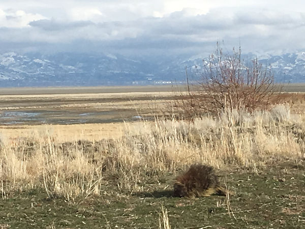 2019-03-03_14-52-57_546.jpeg