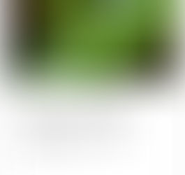 2 Actualización de febrero para monitorio de sensores de Ultrasonido